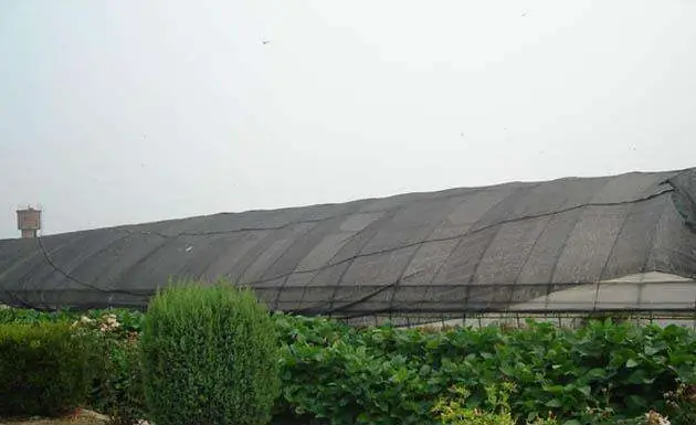 shade net shade net