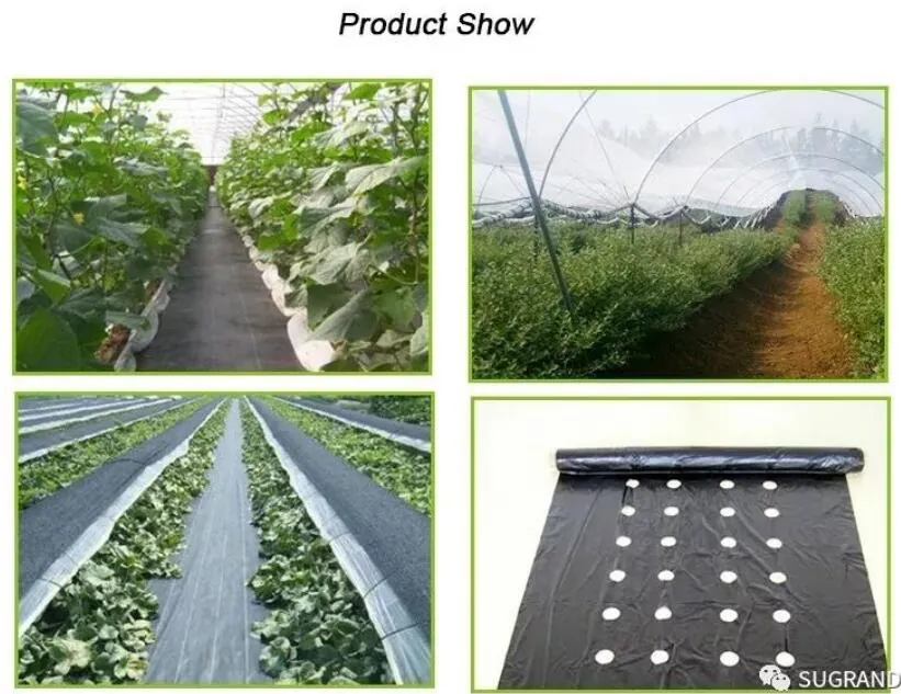 ground cover 4 ground cover 4