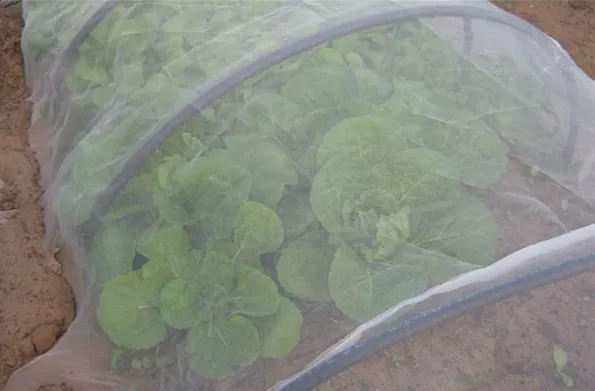 vegetables insect net vegetables insect net