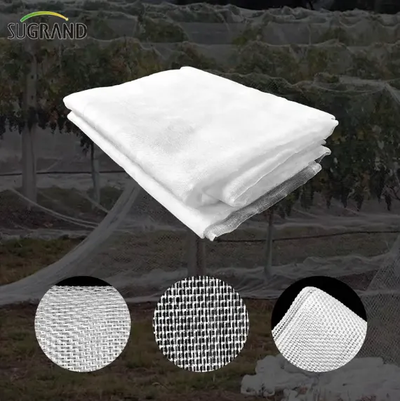 ground cover ground cover