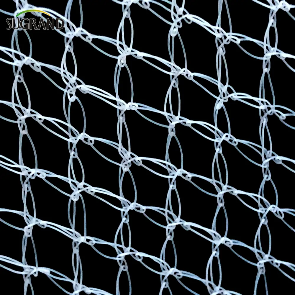 pigeon mesh5